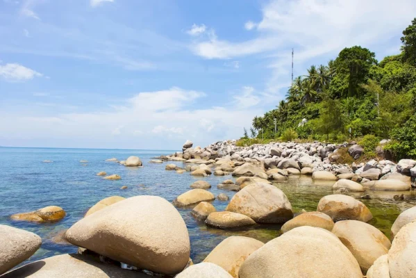 Bãi Đá Chài Hòn Sơn