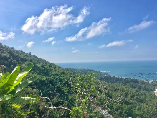 Đồi cỏ lau, Đỉnh Yên Ngựa Hòn Sơn