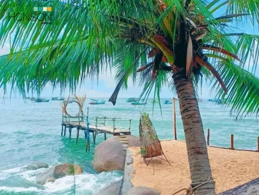 cây dừa nghiêng hòn sơn