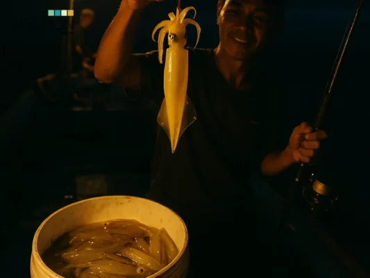 câu mực đêm ở Hòn Sơn