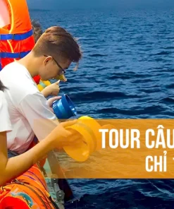 Dịch vụ tour câu mực đêm tại Hòn Sơn giá rẻ, trải nghiệm câu mực trên tàu cho du khách.