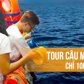 Dịch vụ tour câu mực đêm tại Hòn Sơn giá rẻ, trải nghiệm câu mực trên tàu cho du khách.