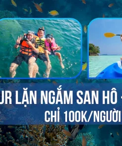 Dịch vụ tour lặn san hô và chèo SUP tại Hòn Sơn với giá ưu đãi cho du khách.