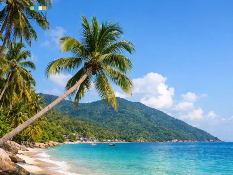 4 Địa Điểm Phải Đến Khi Đặt Chân Tại Hòn Sơn